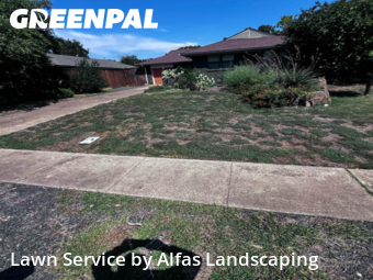 Grass Cutin Richardson,75080,Lawn Mowing by Alfas Landscaping, work completed in Dec , 2025