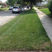 local-lawn-maintenance-contractors-in-Tinley Park-IL