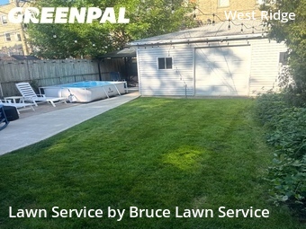 Lawn Care Service nearby Chicago, IL, 