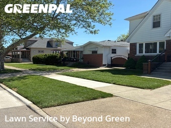 Lawn Mowing nearby Lincoln Park, MI, 