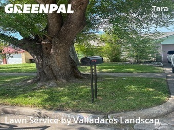 Landscaping Services In Richmond,77469,Landscapers by Valladares Landscap, work completed in Jul , 2026