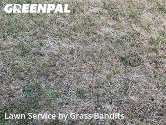 Lawn Mowing nearby Billings, MT, 