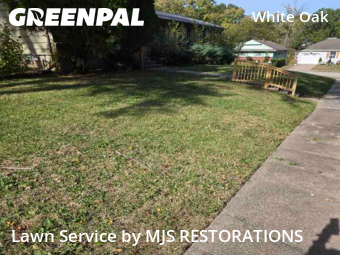 Lawn Cutting nearby Raytown, MO, 