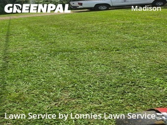 Lawn mowed in Madison, 37115