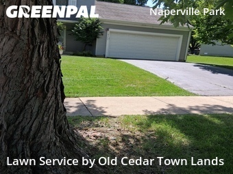 Lawn Cutting nearby Naperville, IL, 