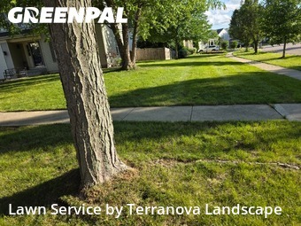 Lawn Services in Carpentersville, 60110, Lawn Management by Terranova Landscape, work completed in Dec , 2025