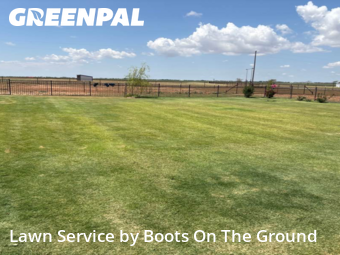 Grass Cut nearby Wilson, TX, 