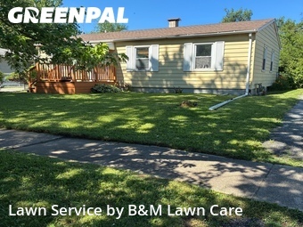 Grass Cut nearby Sauk Village, IL, 
