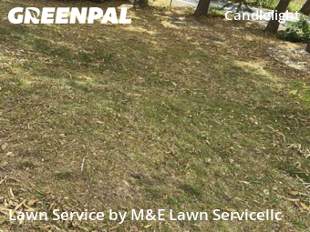 Lawn Mowing Service nearby Arvada, CO, 