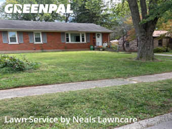 Grass Cut nearby Lexington, KY, 