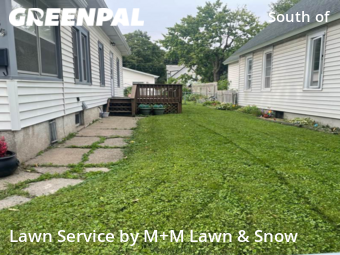 Grass Cut nearby Saint Paul, MN, 