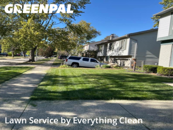 Yard Grooming in Westland, 48186, Grass Services by Everything Clean , work completed in Nov , 2025