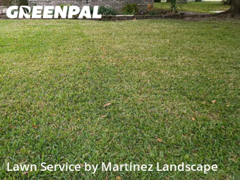 Grass Cuttingin Clermont,34711,Grass Cut by Martinez Landscape, work completed in Feb , 2026