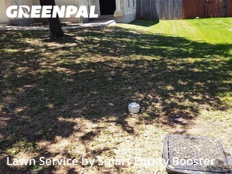 Lawn Cut nearby Cedar Park, TX, 