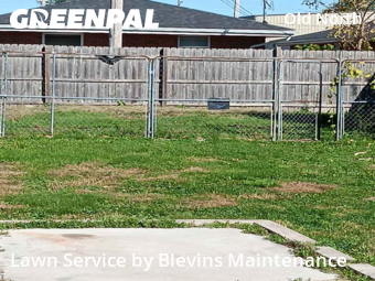 Yard Upkeep in Dayton, 45404, Yard Care Services by Blevins Maintenance , work completed in Nov , 2025