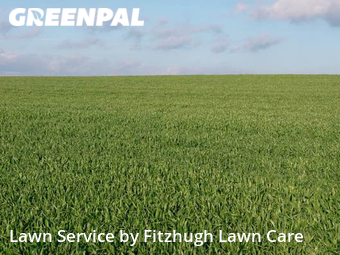 Yard Mowing nearby Nashville, TN, 