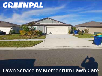 Yard Cutting nearby Zephyrhills, FL, 