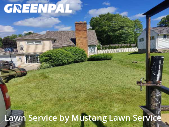 Yard Cutting nearby Youngstown, OH, 