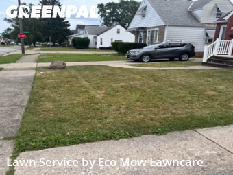 Yard Cutting nearby Parma, OH, 