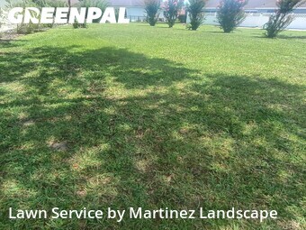 Lawn mowed in Tavares, 32778
