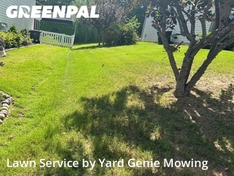 Lawn Cut nearby Charlotte, NC, 