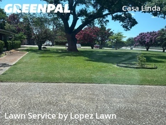 Grass Cutting nearby Dallas, TX, 