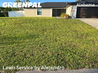 Lawn Cut nearby Lehigh Acres, FL, 