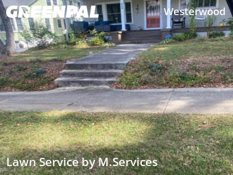 Affordable Landscaping Maintenance Services In Greensboro,27401,Landscaping Services by M.Services, work completed in Oct , 2025