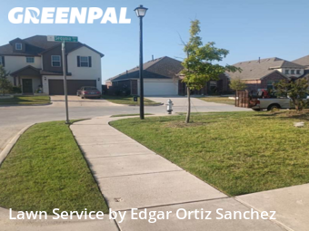 Lawn Cut nearby Princeton, TX, 