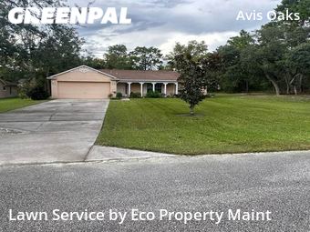 Lawn Cut nearby Spring Hill, FL, 
