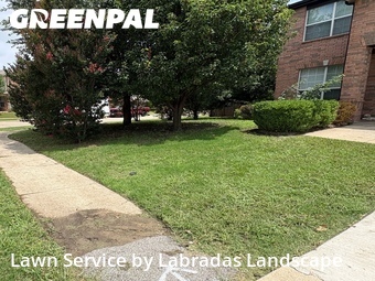 Lawn Mowing Service nearby Wylie, TX, 