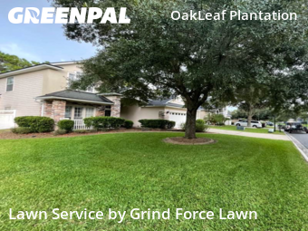Grass Cutting nearby Orange Park, FL, 