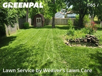 Lawn Cut nearby Indianapolis, IN, 