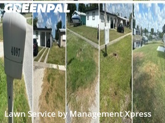 Lawn Mowing Service nearby Port Charlotte, FL, 
