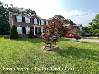 Yard Cutting nearby Smyrna, TN, 