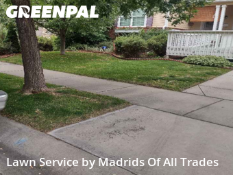 Lawn Service nearby Timnath, CO, 