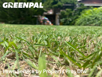 Lawn Care nearby Fort Worth, TX, 