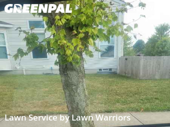 Lawn Cut nearby Columbus, OH, 