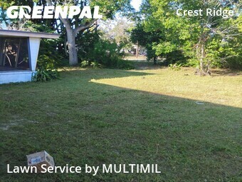 Grass Cutting nearby Holiday, FL, 