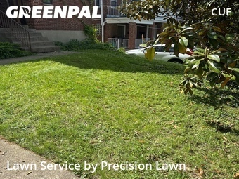 Lawn Cutting nearby Cincinnati, OH, 