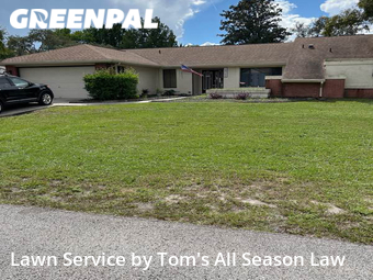 Lawn Service nearby Spring Hill, FL, 