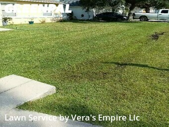 Lawn Mowing nearby Palm Coast, FL, 