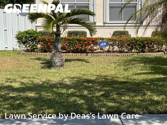 Lawn Cut nearby Miramar, FL, 