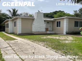 Yard Mowing nearby Miami, FL, 