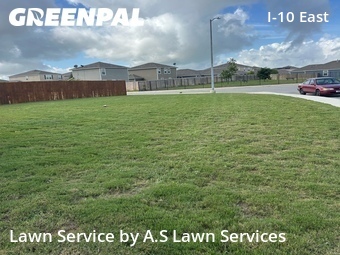 Yard Cutting nearby Converse, TX, 