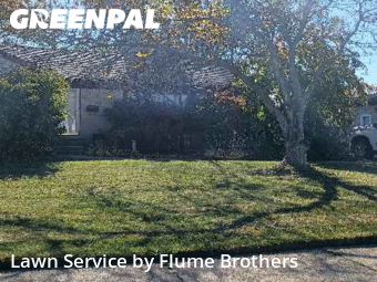 Yard Cutting nearby Roseville, MI, 