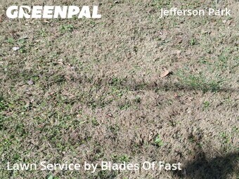 Lawn Cut nearby Atlanta, GA, 