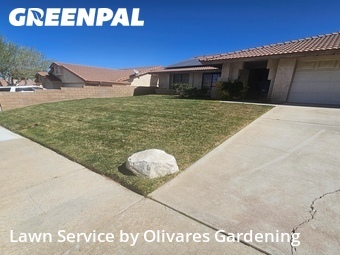 Work completed by affordable-grass-cutting-businesses-in-Palmdale-CA