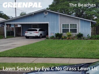 Yard Cutting nearby Jacksonville Beach, FL, 