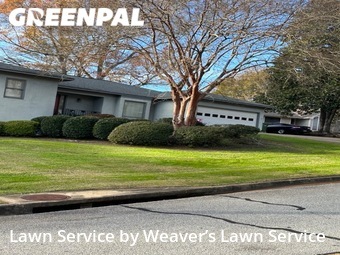 Lawn Care nearby Columbus, GA, 